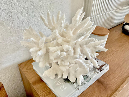 Extra LARGE 100% Natural Oversized BRANCH Coral Fossil 15.5" x 12" x 10" XL Specimen Coastal Display Beach House Décor Centerpiece White