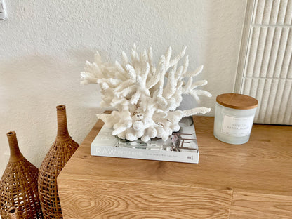 Extra LARGE 100% Natural Oversized BRANCH Coral Fossil 15.5" x 12" x 10" XL Specimen Coastal Display Beach House Décor Centerpiece White