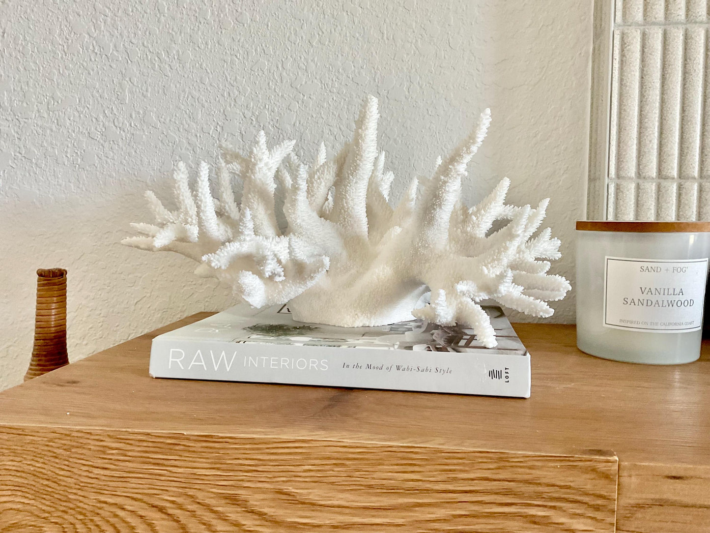 Extra LARGE 100% Natural Oversized BRANCH Coral Fossil 17" x 12" x 9" XL Specimen Coastal Display Beach House Décor Centerpiece White
