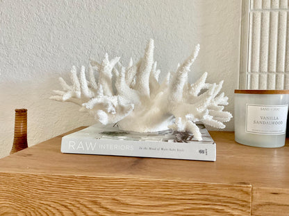 Extra LARGE 100% Natural Oversized BRANCH Coral Fossil 17" x 12" x 9" XL Specimen Coastal Display Beach House Décor Centerpiece White