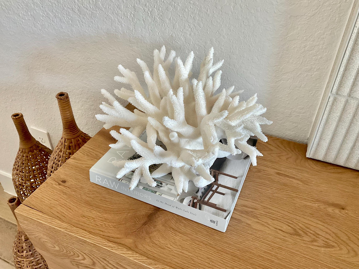 Extra LARGE 100% Natural Oversized BRANCH Coral Fossil 14" x 11" x 8" XL Specimen