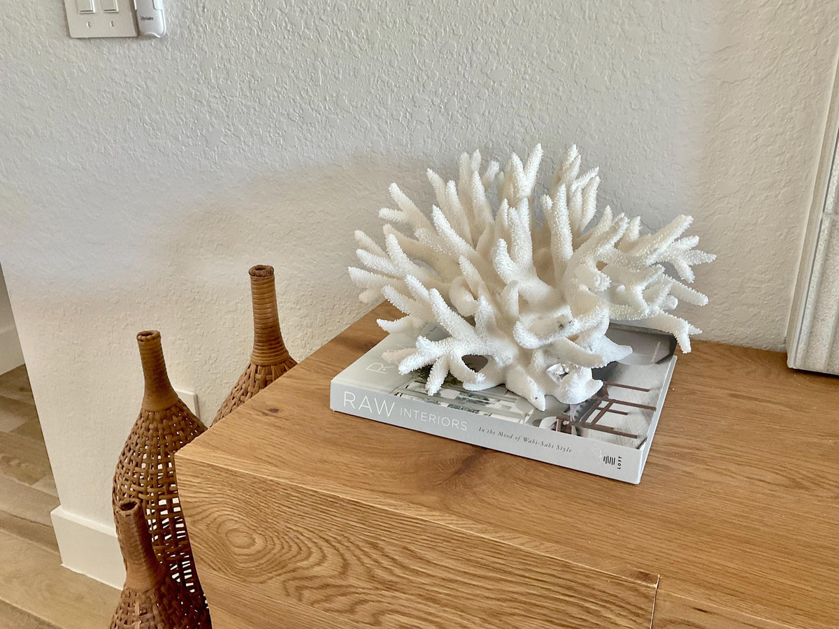 Extra LARGE 100% Natural Oversized BRANCH Coral Fossil 14" x 11" x 8" XL Specimen