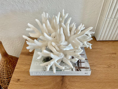 Extra LARGE 100% Natural Oversized BRANCH Coral Fossil 14" x 11" x 8" XL Specimen