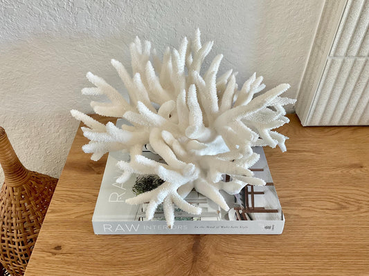 Extra LARGE 100% Natural Oversized BRANCH Coral Fossil 14" x 11" x 8" XL Specimen