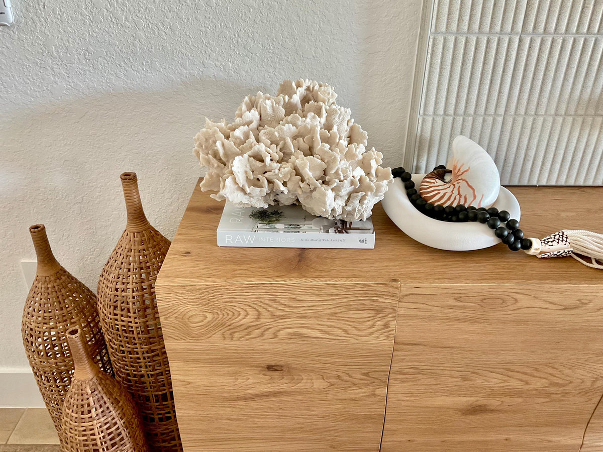 Beige Cactus Coral Fossil 16" x 12" x 9" XL Extra LARGE 100% Natural Specimen