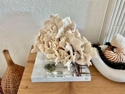 Beige Cactus Coral Fossil 14" x 10" x 8" XL Extra LARGE 100% Natural Specimen