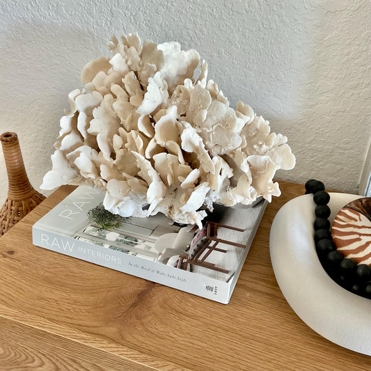 Beige Cactus Coral Fossil 14" x 10" x 8" XL Extra LARGE 100% Natural Specimen