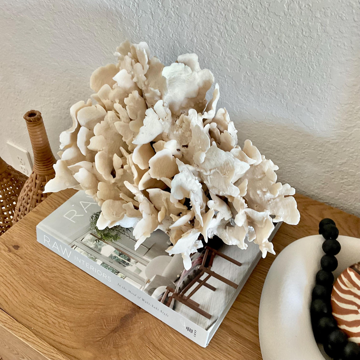 Beige Cactus Coral Fossil 14" x 10" x 8" XL Extra LARGE 100% Natural Specimen
