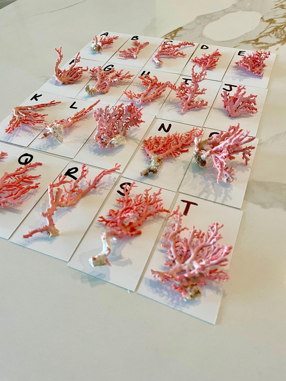 Pink Stylaster Coral Branches 1.5"-3.5" Pieces, You Choose Piece, Coastal Craft & Décor