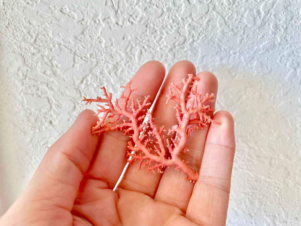 Pink Stylaster Coral Branches 1.5"-3.5" Pieces, You Choose Piece, Coastal Craft & Décor