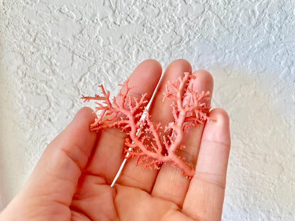 Pink Stylaster Coral Branches 1.5"-3.5" Pieces, You Choose Piece, Coastal Craft & Décor