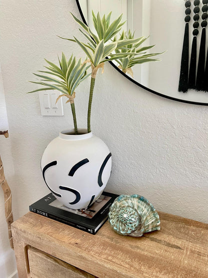 Green GIANT Polished Turban Shell, 7-8" Marmaoratus Turbo Coastal Décor
