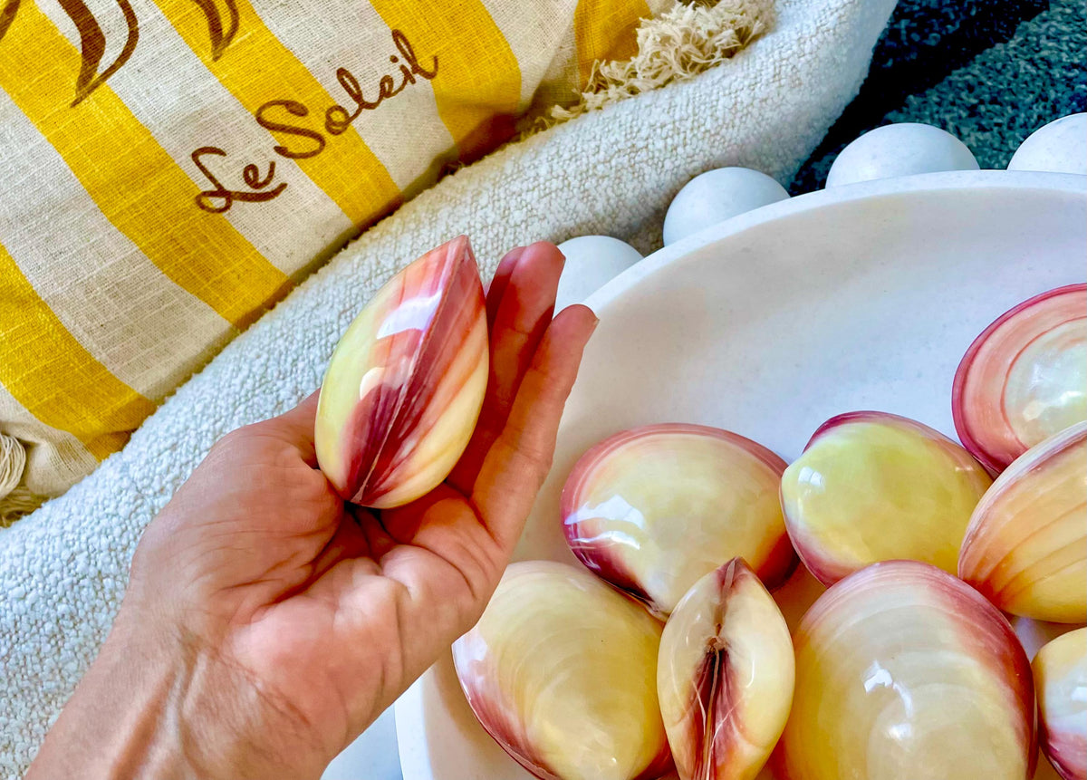 Polished Yellow Pink Clam Shells, 3-3.5", You choose Quantity, Paired Shells Craft Seashells