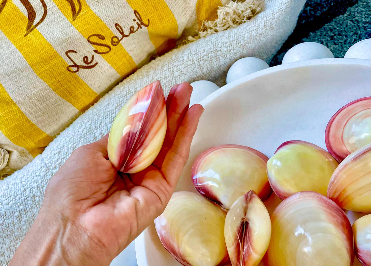 Polished Yellow Pink Clam Shells, 3-3.5", You choose Quantity, Paired Shells Craft Seashells
