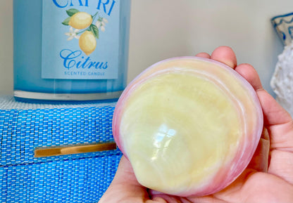Polished Yellow Pink Clam Shells, 3-3.5", You choose Quantity, Paired Shells Craft Seashells