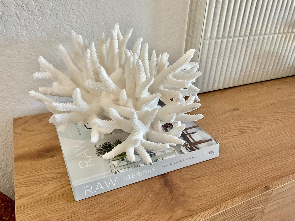 Extra LARGE 100% Natural Oversized BRANCH Coral Fossil 14" x 11" x 8" XL Specimen
