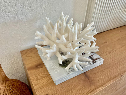 Extra LARGE 100% Natural Oversized BRANCH Coral Fossil 14" x 11" x 8" XL Specimen