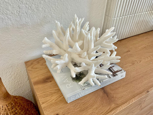 Extra LARGE 100% Natural Oversized BRANCH Coral Fossil 14" x 11" x 8" XL Specimen