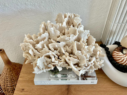 Beige Cactus Coral Fossil 16" x 12" x 9" XL Extra LARGE 100% Natural Specimen