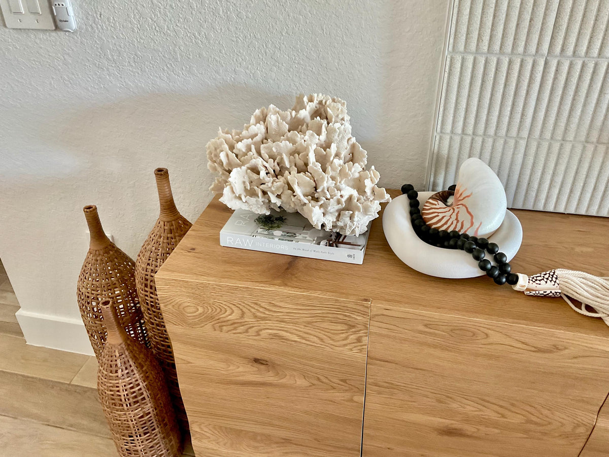 Beige Cactus Coral Fossil 16" x 12" x 9" XL Extra LARGE 100% Natural Specimen