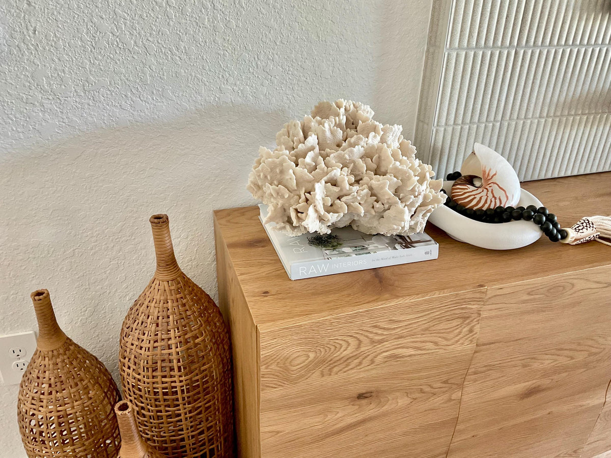 Beige Cactus Coral Fossil 16" x 12" x 9" XL Extra LARGE 100% Natural Specimen