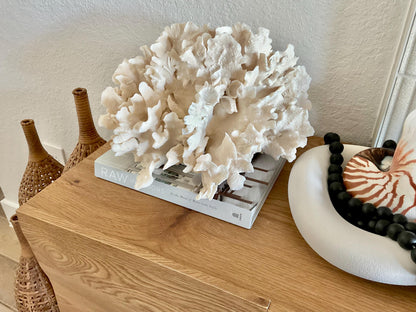 Beige Cactus Coral Fossil 15" x 13" x 8.5" XL Extra LARGE 100% Natural Specimen
