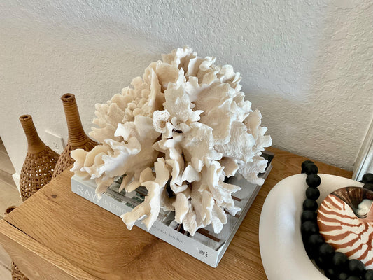 Beige Cactus Coral Fossil 15" x 13" x 8.5" XL Extra LARGE 100% Natural Specimen