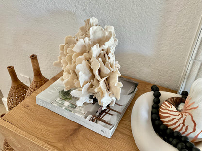 Beige Cactus Coral Fossil 14" x 10" x 8" XL Extra LARGE 100% Natural Specimen