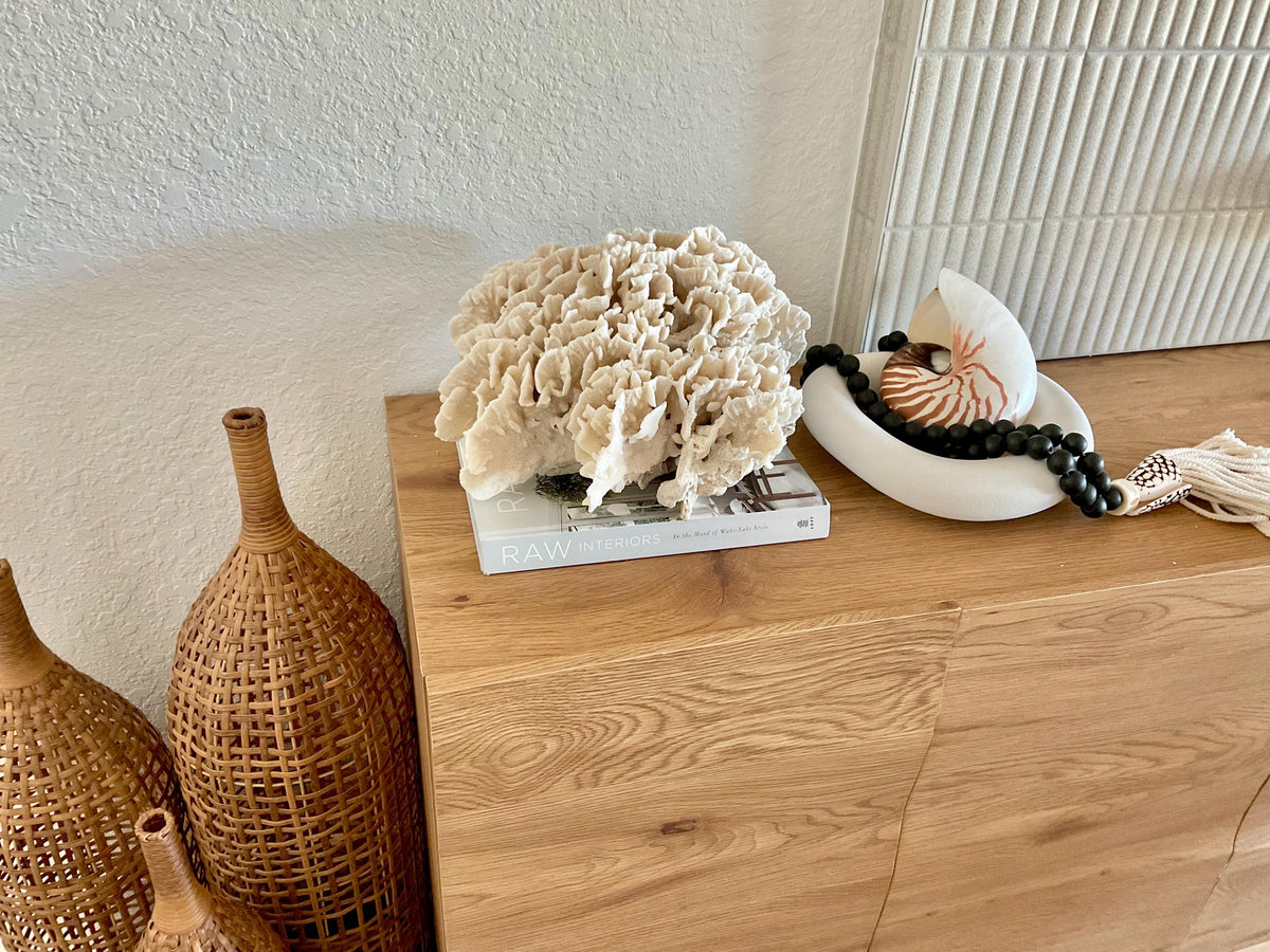 Beige Cactus Coral Fossil 13" x 11.5" x 7" XL Extra LARGE 100% Natural Specimen