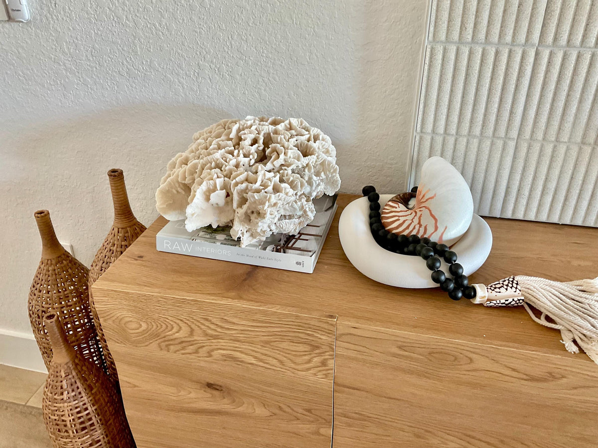 Beige Cactus Coral Fossil 13" x 11.5" x 7" XL Extra LARGE 100% Natural Specimen