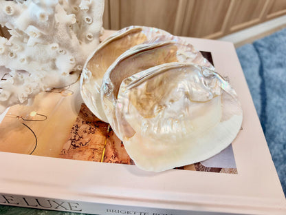 Real 5-6" PEARL Embedded Clam Shell Dished: Polished Mother of Pearl Decorative Tray