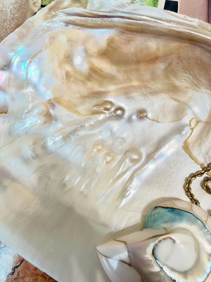 Real 5-6" PEARL Embedded Clam Shell Dished: Polished Mother of Pearl Decorative Tray