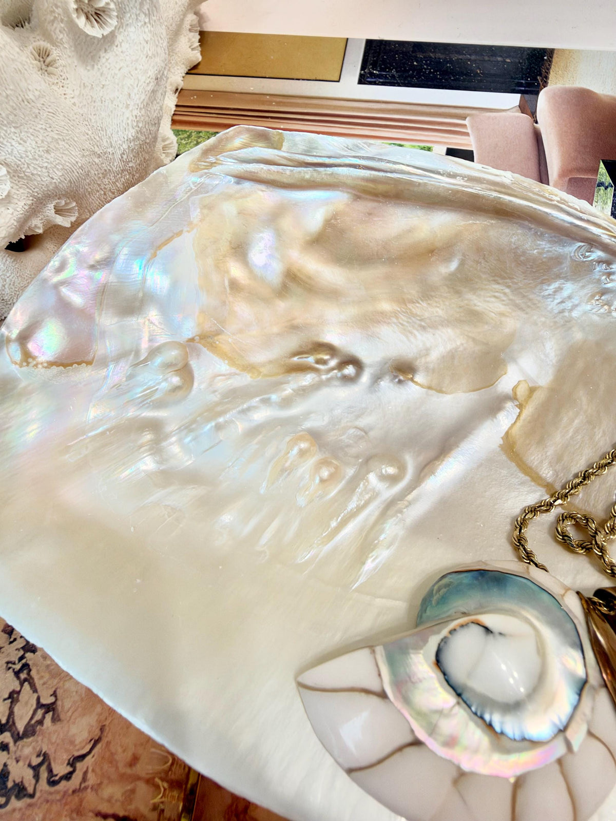 Real 5-6" PEARL Embedded Clam Shell Dished: Polished Mother of Pearl Decorative Tray