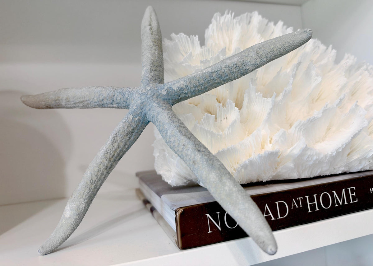 Blue Linckia Natural Preserved Starfish 9-10" Coastal Beach Home Décor & Crafts