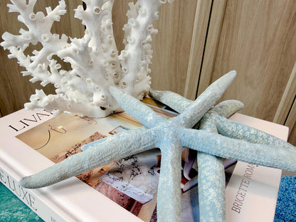 Blue Linckia Natural Preserved Starfish 9-10" Coastal Beach Home Décor & Crafts