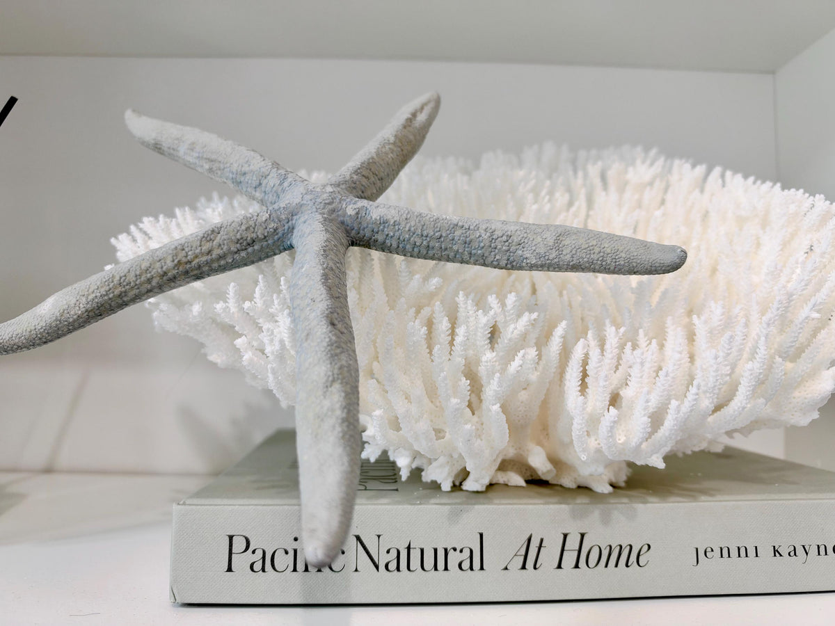 Blue Linckia Natural Preserved Starfish 9-10" Coastal Beach Home Décor & Crafts