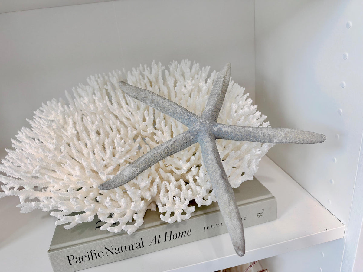 Blue Linckia Natural Preserved Starfish 9-10" Coastal Beach Home Décor & Crafts