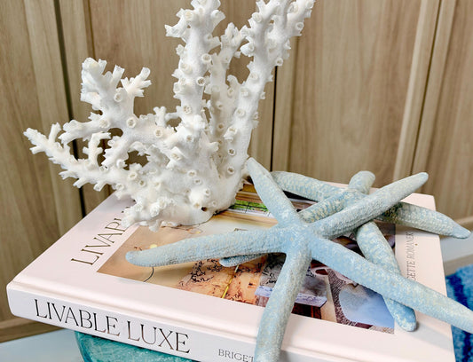 Blue Linckia Natural Preserved Starfish 9-10" Coastal Beach Home Décor & Crafts
