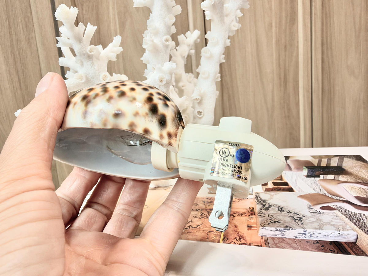 Authentic Tiger Cowrie Shell Night Light 5": Wall Plug-in Natural Seashell Décor