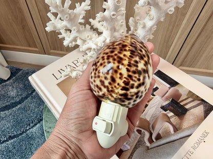Authentic Tiger Cowrie Shell Night Light 5": Wall Plug-in Natural Seashell Décor