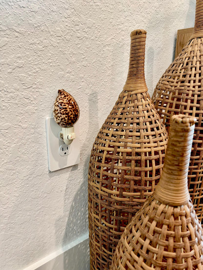 Authentic Tiger Cowrie Shell Night Light 5": Wall Plug-in Natural Seashell Décor