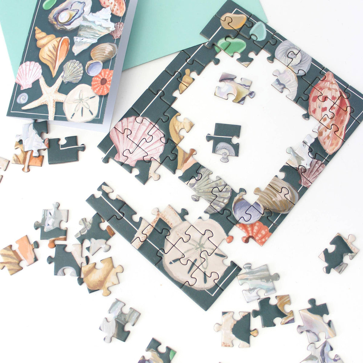 Seashells Puzzle Greeting Card: Beachy Coastal Lovers Gift