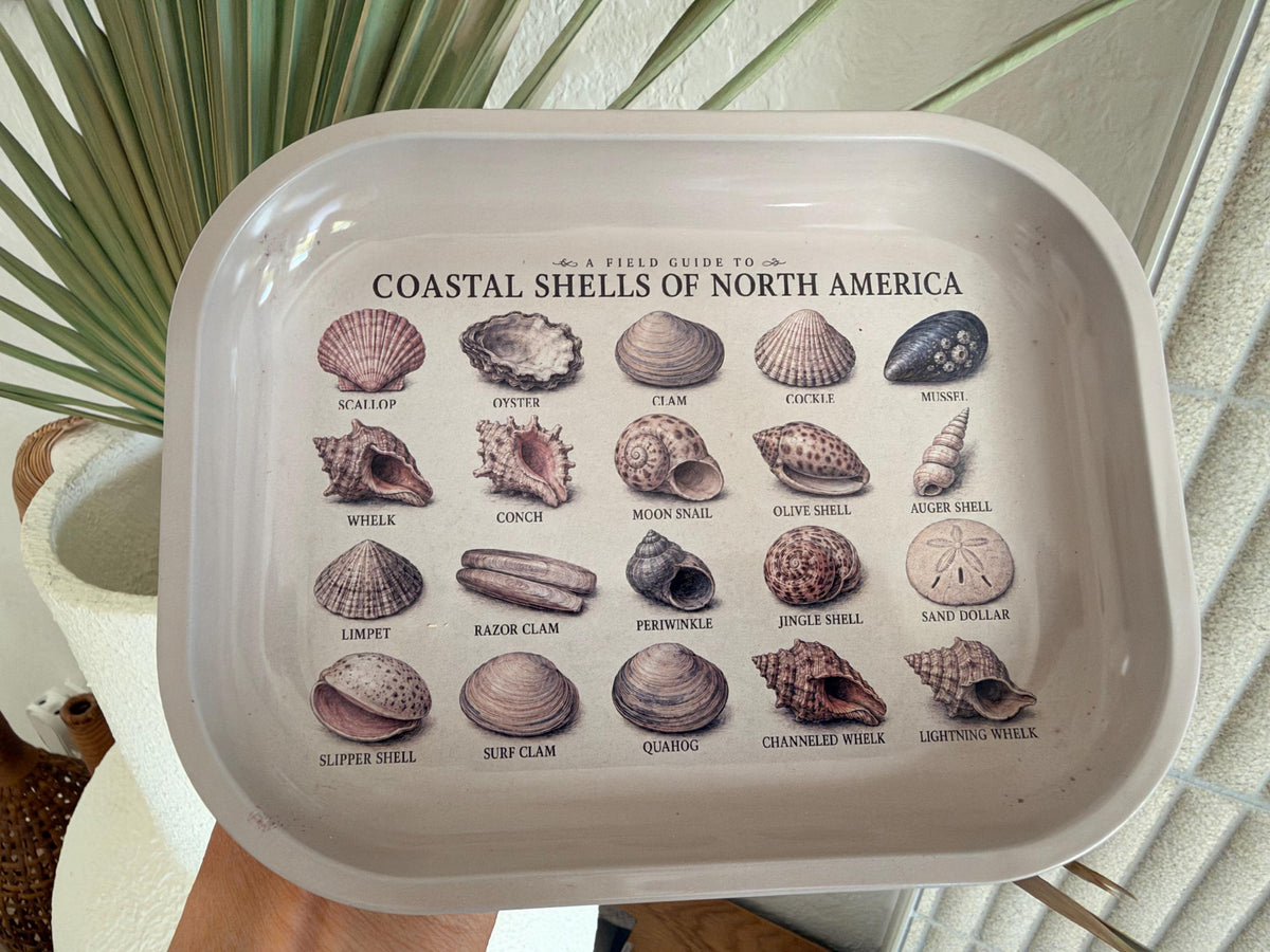 Seashell Specimen Decorative Tray: Coastal Décor Gift