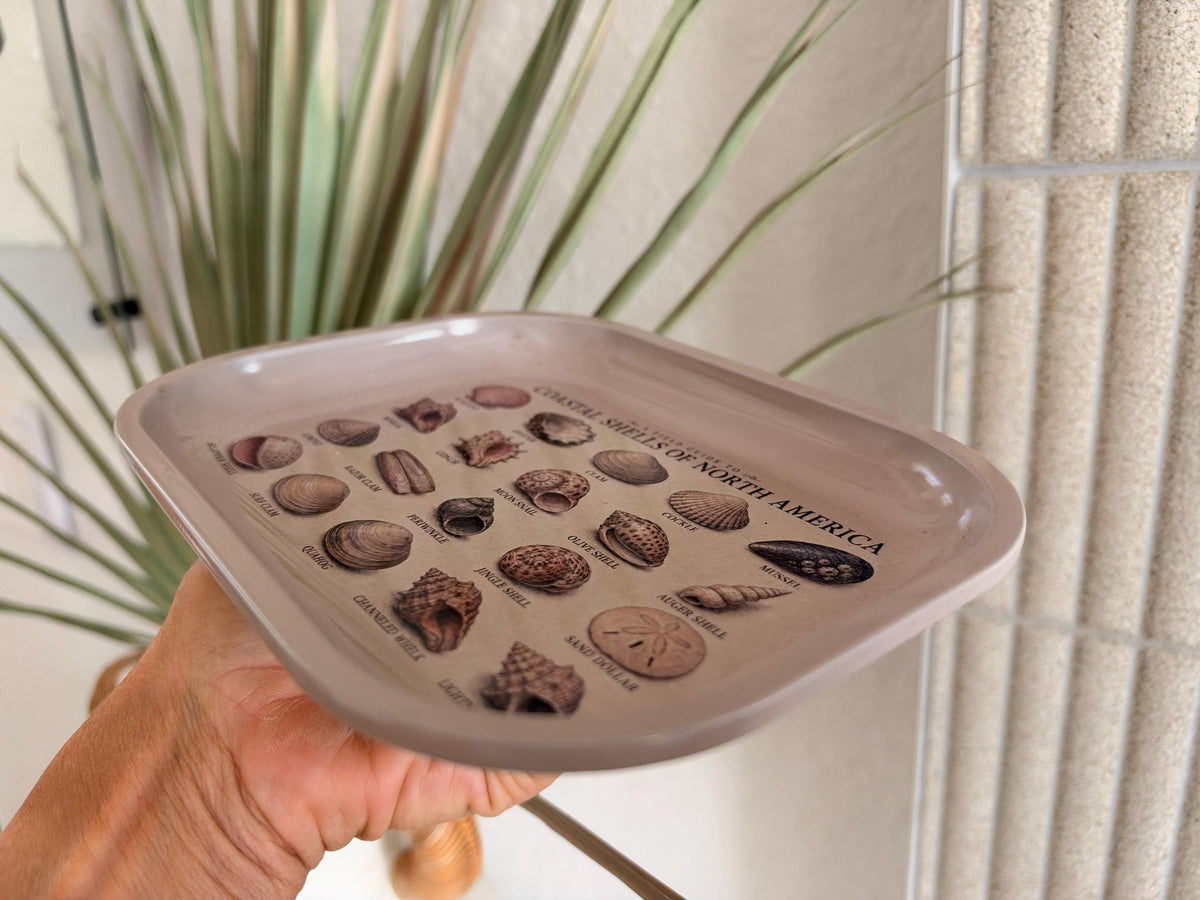 Seashell Specimen Decorative Tray: Coastal Décor Gift