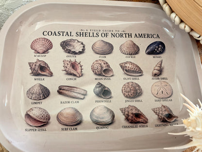 Seashell Specimen Decorative Tray: Coastal Décor Gift