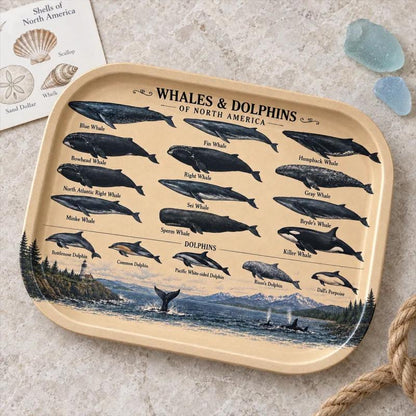 Whales & Dolphins Specimen Decorative Tray: Coastal Décor Gift