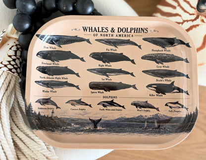 Whales & Dolphins Specimen Decorative Tray: Coastal Décor Gift