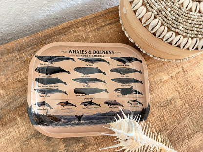Whales & Dolphins Specimen Decorative Tray: Coastal Décor Gift