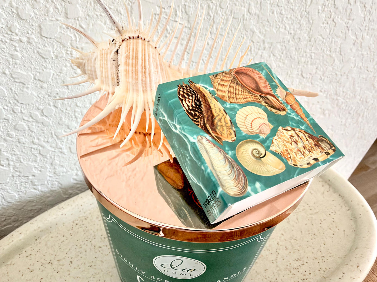 Seashells In Water Decorative Matchboxes – Set of 3 – Coastal Home Décor & Nautical Gift