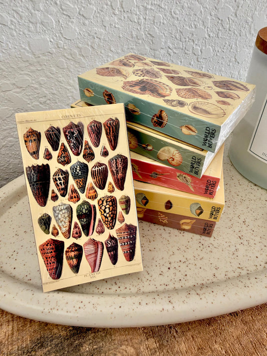 Vintage Seashells Decorative Large Matchboxes: Coastal Home Décor & Nautical Gift